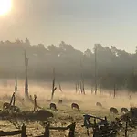 Διαμέρισμα Forsthaus Zartwitzer Huette