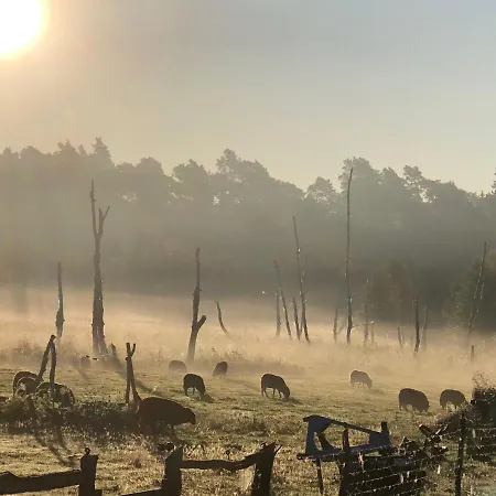 Apartamento Forsthaus Zartwitzer Hütte