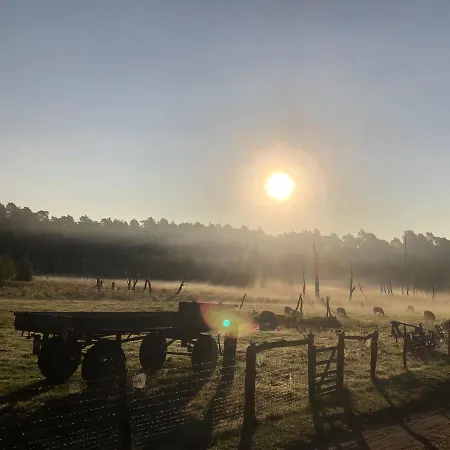 Apartamento Forsthaus Zartwitzer Hütte