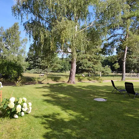 Forsthaus Zartwitzer Huette Apartmán